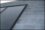 evergreen_solar_small.jpg evergreen_solar_small.jpg