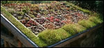 0304-forceofnaturetitle.jpg 0304-forceofnaturetitle.jpg