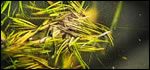 0306-wastewatertitle.jpg Waste Water