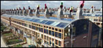 O310-GreenGainsTITLE.jpg O310-GreenGainsTITLE.jpg