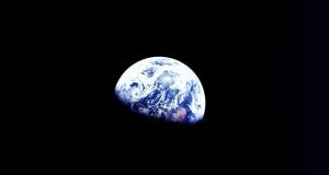 Environmental activism - tracing the roots of today's climate activism